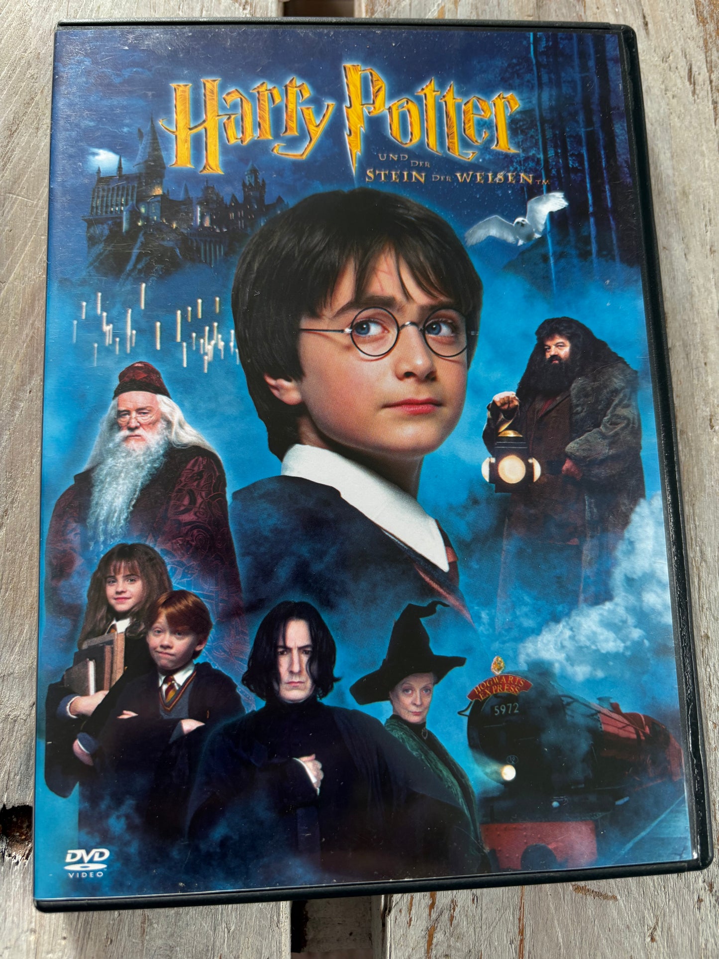 Harry Potter und die Kammer des Schreckens (2 DVDs)