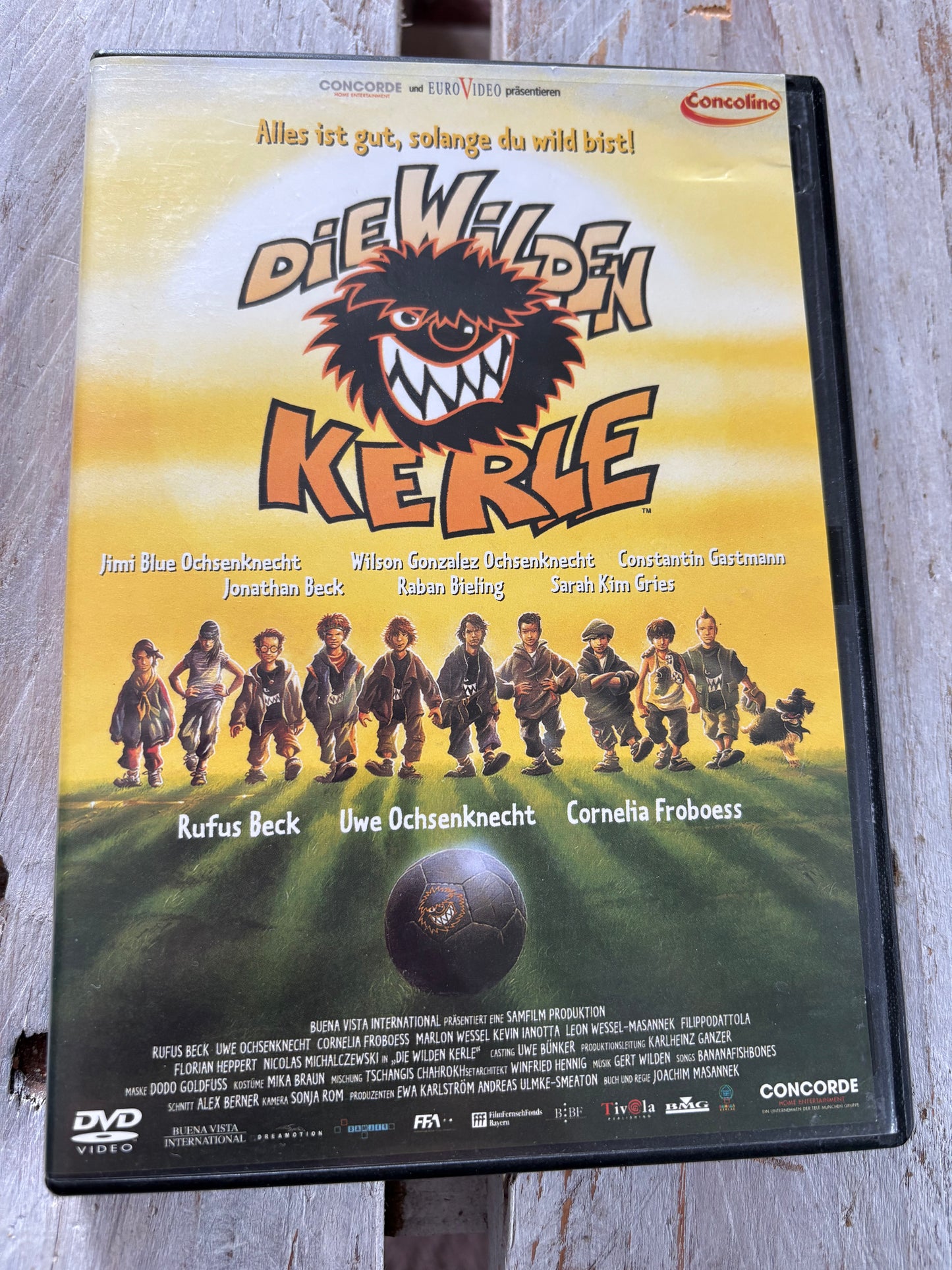 Die wilden Kerle