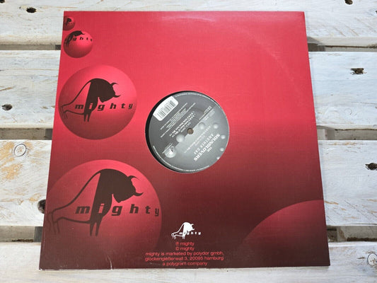 The Soundlovers - Another Day 12" Maxi Vinyl 1997