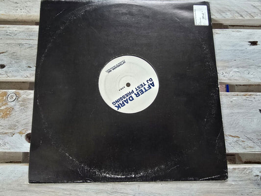 Brian Scott feat. Everton Barnes - Fallin 12" Maxi Vinyl Test Pressung RAR