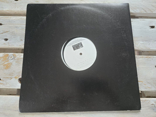 Female - Don´t let me be misunderstood 12" Maxi Vinyl 2000