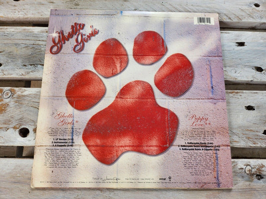Lil Bow Wow Ghetto Girls / Puppy Love 12" Maxi Vinyl 2000