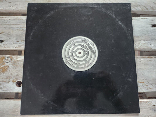 DJ Panda feat. Nadir - True life 12" Maxi Vinyl