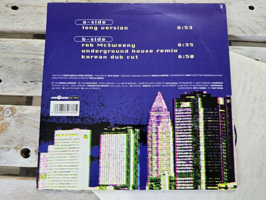 S.O.F. feat. Akiko – House Music 12" Maxi Vinyl 1995