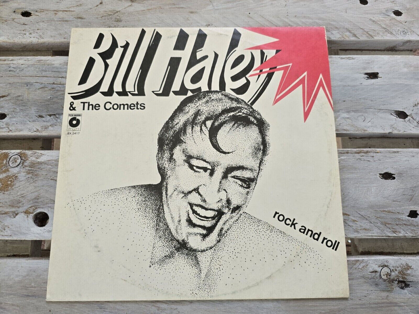 Bill Haley & The Comets - Rock and Roll | 12" LP Vinyl | Polnische Edition