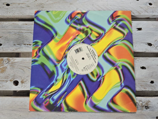 B-Project - Black Skinned, Blue Eyed Boy 12" Vinyl Maxi 1995