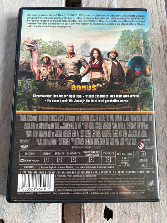 Jumanji: The Next Level (DVD)