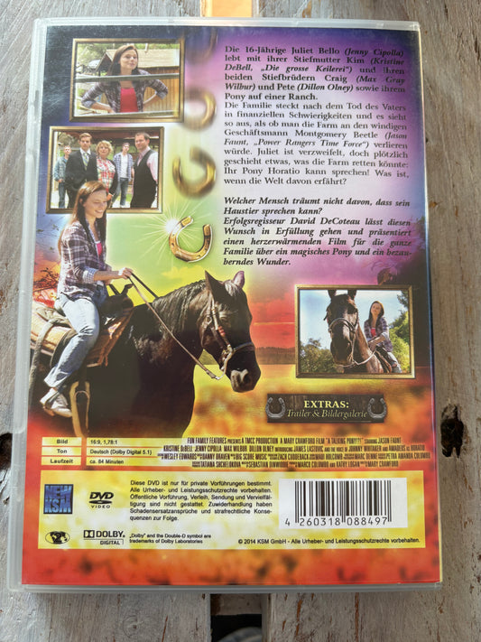 Das Geheimnis des Ponys